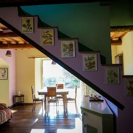 La Casina Di Giannetto Guest House Seggiano Luaran gambar